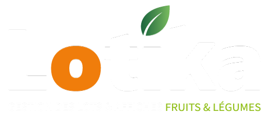 Lotika